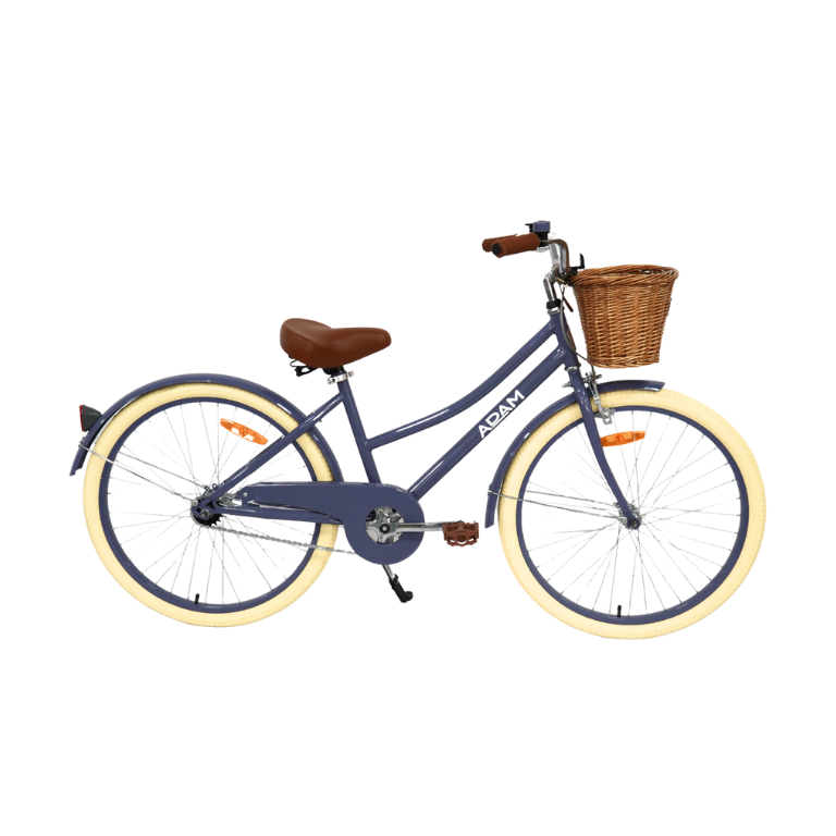 The Dutch Style 24" - Bicycle