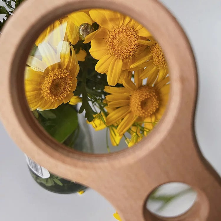 Beech Wood Magnifying Glass