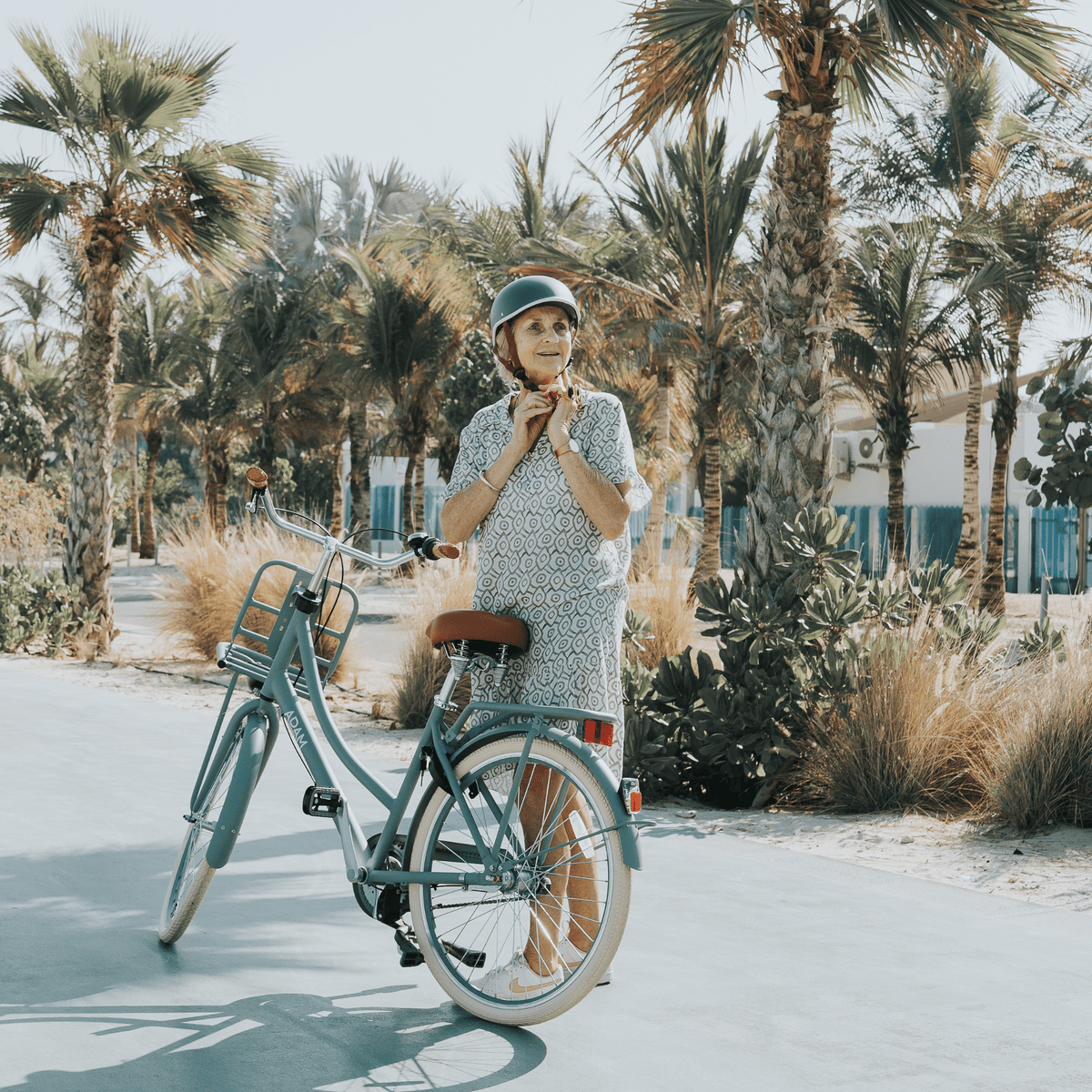 The Dutch Style Deluxe 26" - Adult Bicycle with Gears