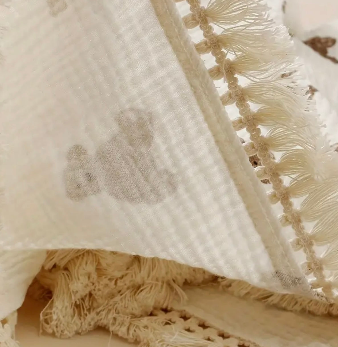 Frills Teddy Muslin Blanket