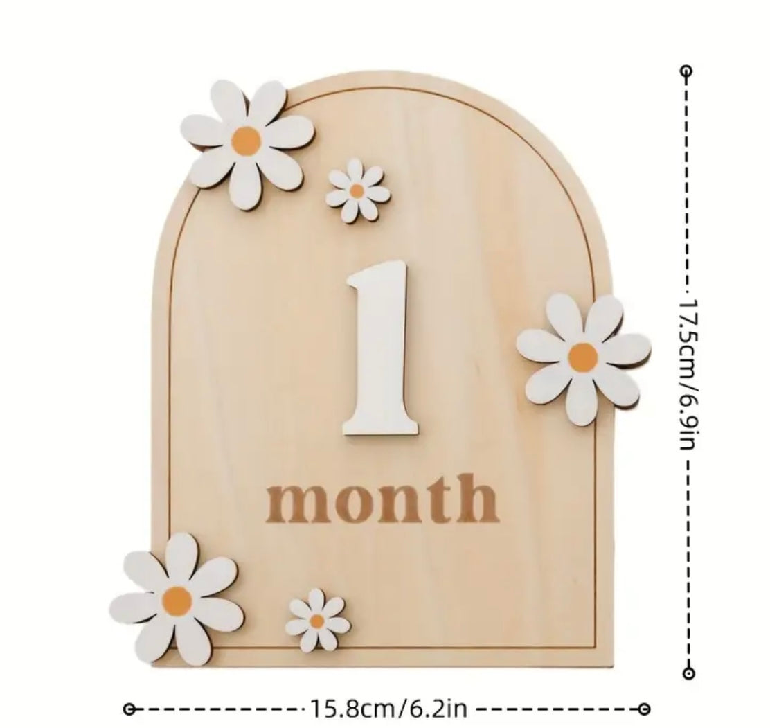 Wooden Baby Monthly Milestone Discs with Daisies – Floral Age Markers for Photos