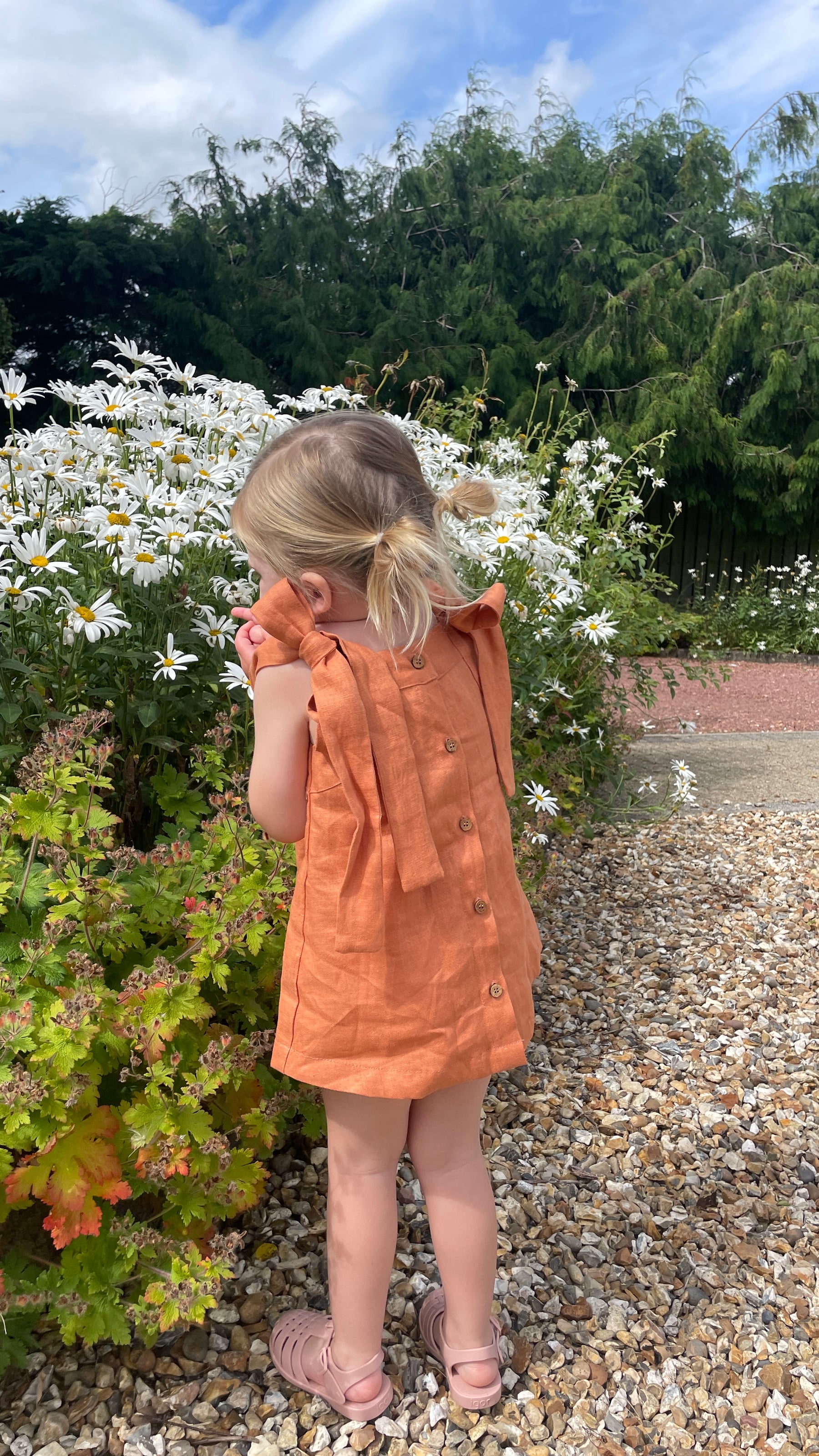 Cinnamon Back buttoned dress